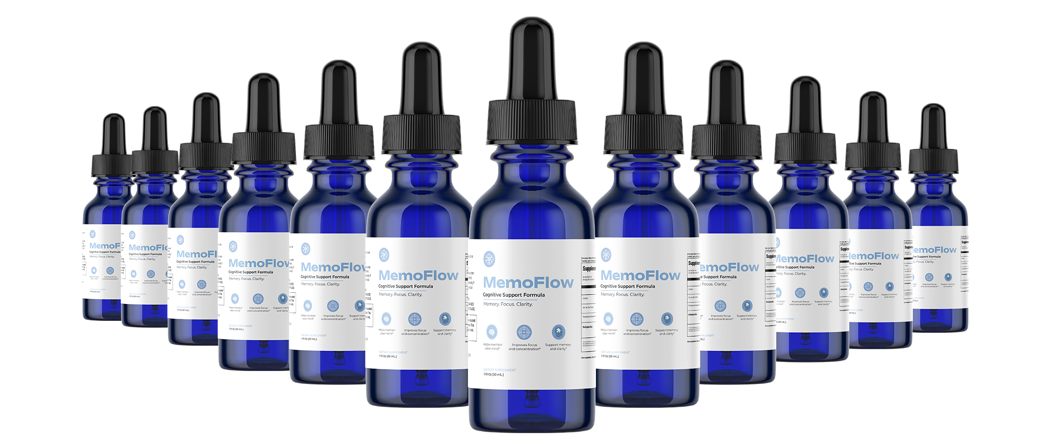 MemoFlow 12-month membership